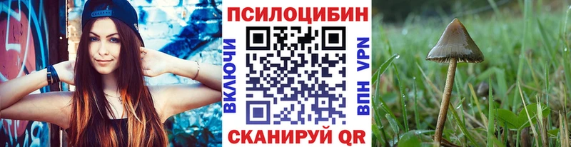 Псилоцибиновые грибы ЛСД  Верея 